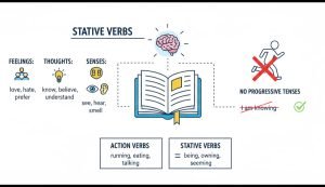 how to use statics verb in conversation examples