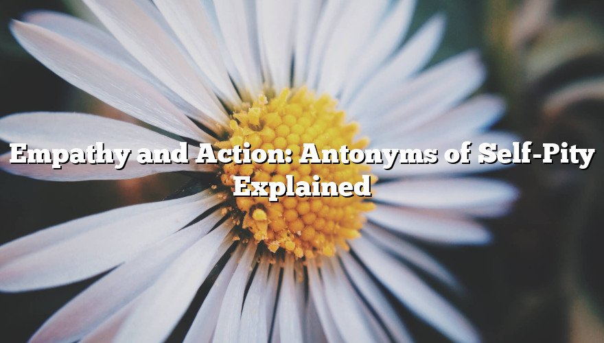 Empathy and Action: Antonyms of Self-Pity Explained