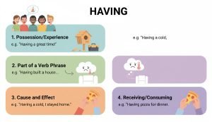 Definition of "Having"