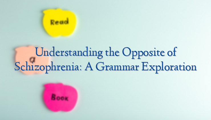 Understanding the Opposite of Schizophrenia: A Grammar Exploration