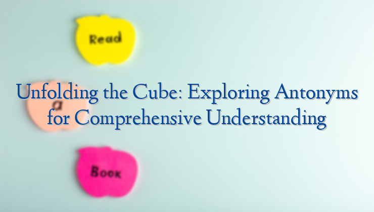 Unfolding the Cube: Exploring Antonyms for Comprehensive Understanding