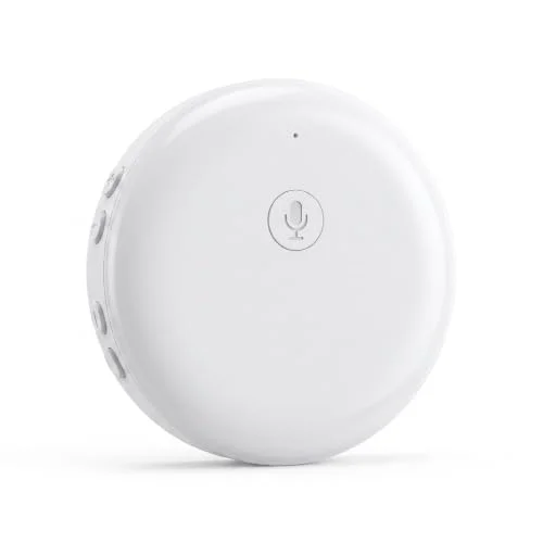 ai language translator device