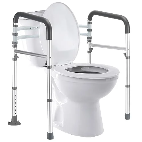 toilet lift for elderly
