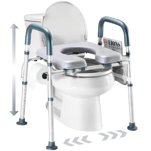 toilet lifts for disabled