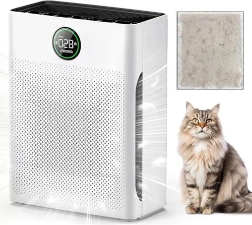 best air filter for pets