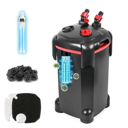 best canister filter for 55 gallon aquarium
