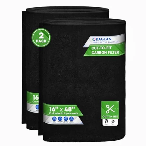best carbon filter