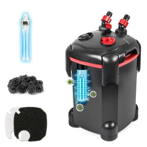 best filter for saltwater tank