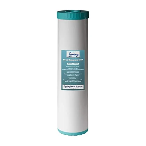 best filter to remove manganese from water
