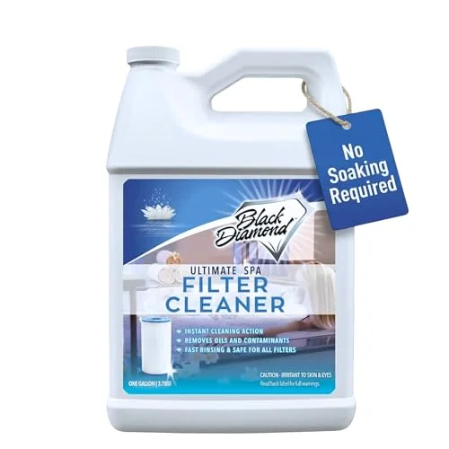 best spa filter cleaner