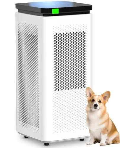 best voc air filter