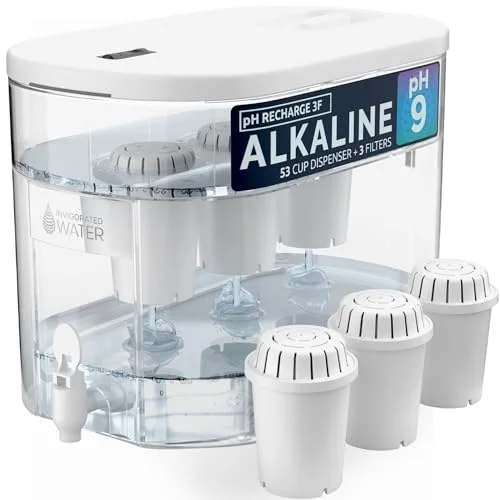 best water filter and alkalizer