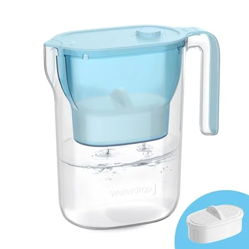 best water filter for pregnancy