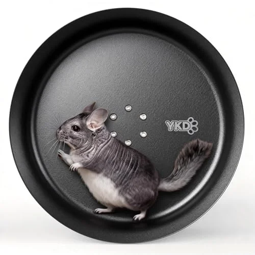 best wheel for rats