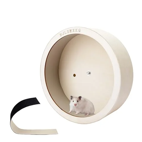 best wheel for russian dwarf hamster