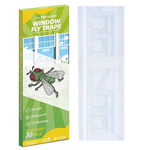 cluster fly traps indoor