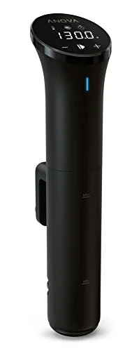 sous vide black friday