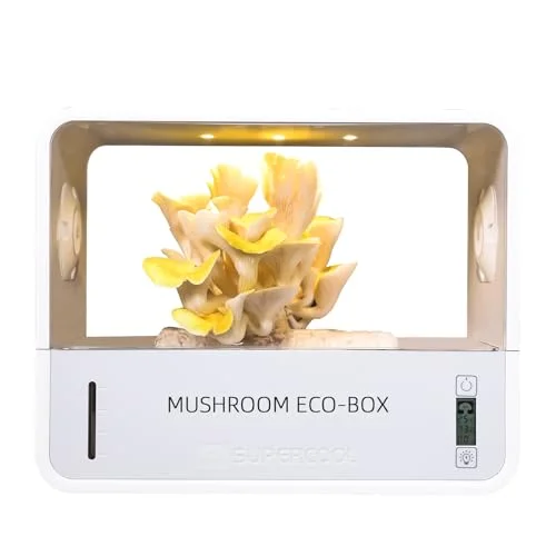 temperature controlled mushroom grow box